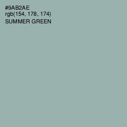 #9AB2AE - Summer Green Color Image